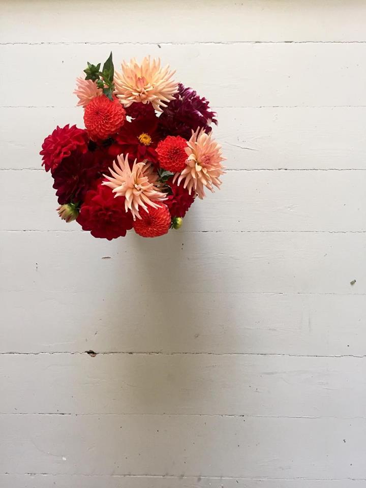 14528361_10209616623667670_2045272125_n