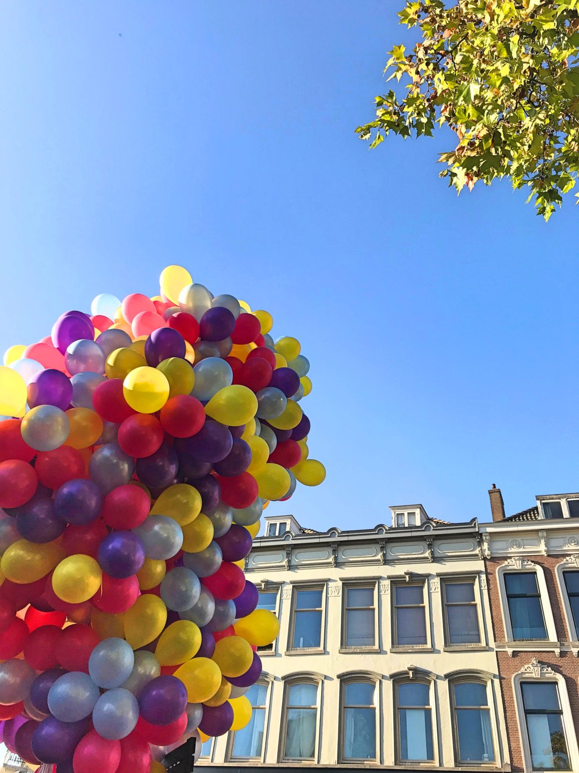 den grønne måltidskasse